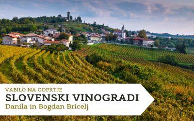 RAZSTAVA: Vabilo na odprtje SLOVENSKI VINOGRADI – Danila in Bogdan Bricelj