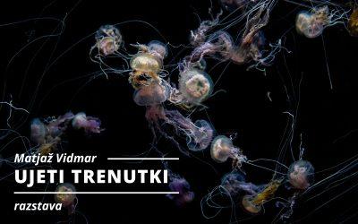 RAZSTAVA: Matjaž Vidmar – UJETU TRENUTKI
