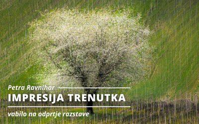 RAZSTAVA: Vabilo na odprtje: Petra Ravnihar – Impresija trenutka