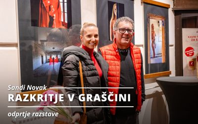 ODPRTJE RAZSTAVE: Sandi Novak – RAZKRITJE V GRAŠČINI