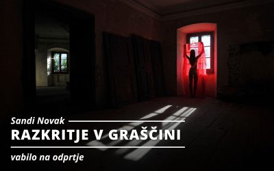 VABILO NA ODPRTJE: Sandi Novak – RAZKRITJE V GRAŠČINI