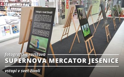 RAZSTAVA: Supernova Mercator Jesenice -Vstopi v svet živali